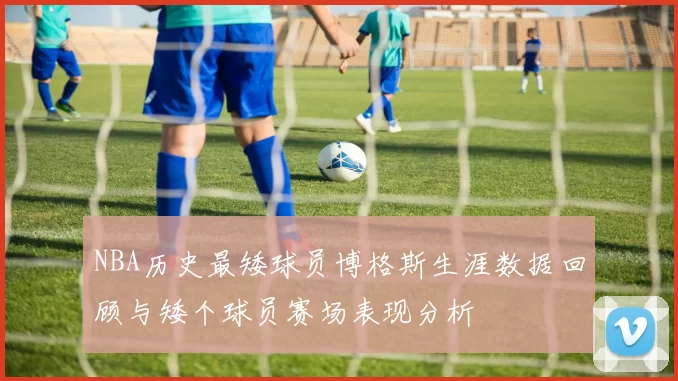 NBA历史最矮球员博格斯生涯数据回顾与矮个球员赛场表现分析