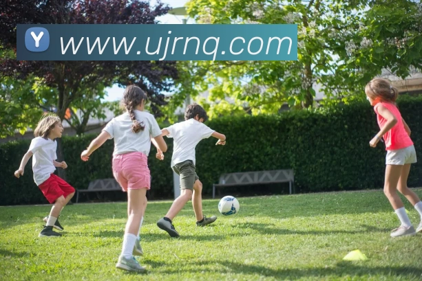 3377体育 - 全网最全最有态度的体育赛事直播平台发展历程